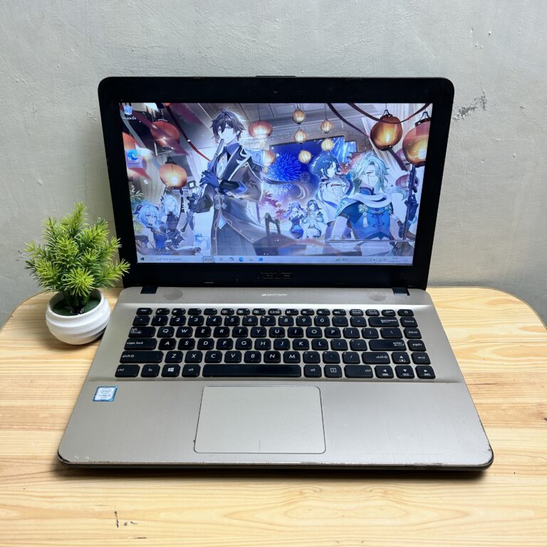 Asus X441UA i3 6006U 8/256GB SSD