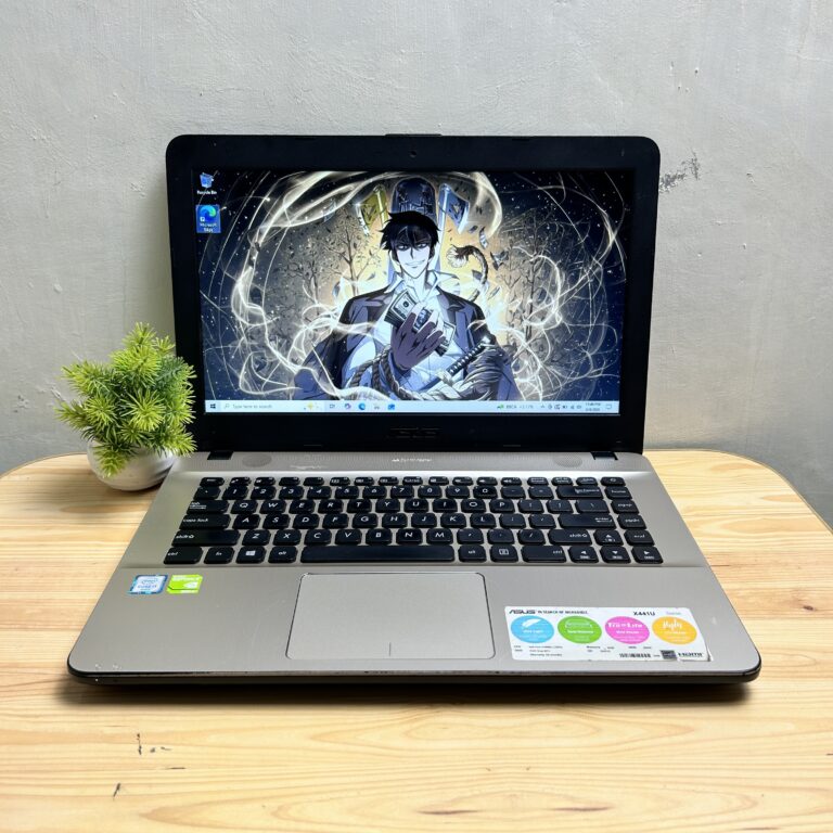 Asus X441UV Intel Core i3 6006U NVIDIA GeForce 920MX 4/128GB SSD + 500GB HDD
