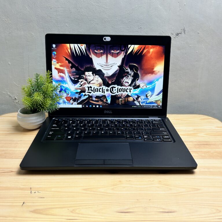 Dell Latitude 5280 Intel Core i5 7300U 8/256GB SSD