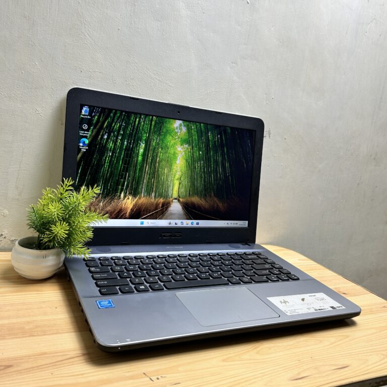Asus X441MAR Intel Celeron N4020 4/128GB SSD + 500GB HDD