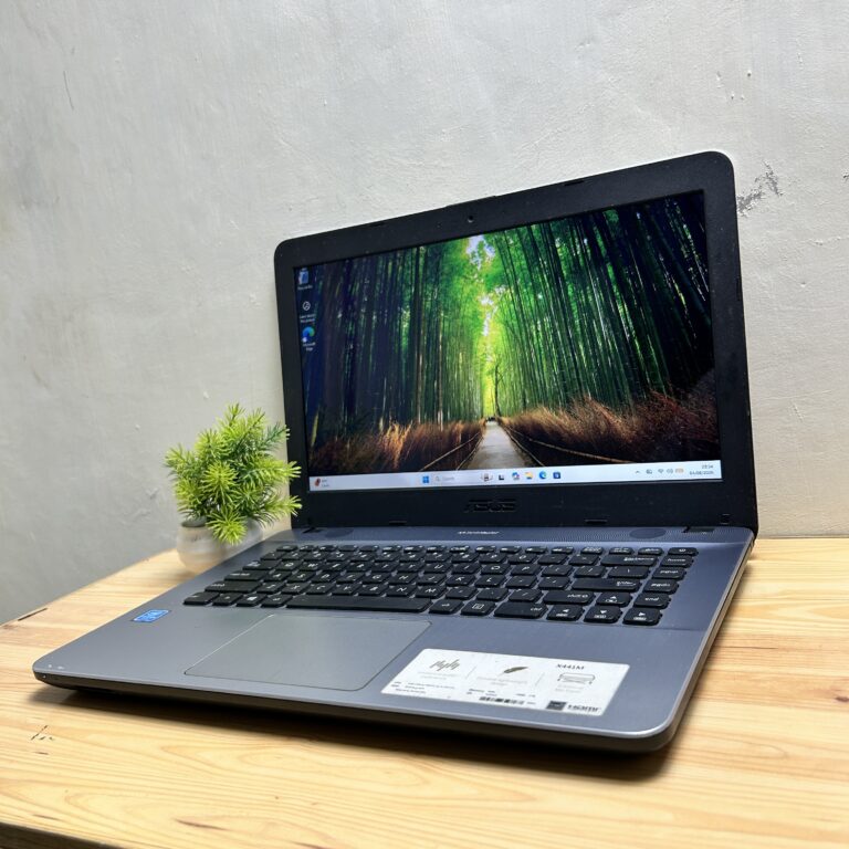 Asus X441MAR Intel Celeron N4020 4/128GB SSD + 500GB HDD